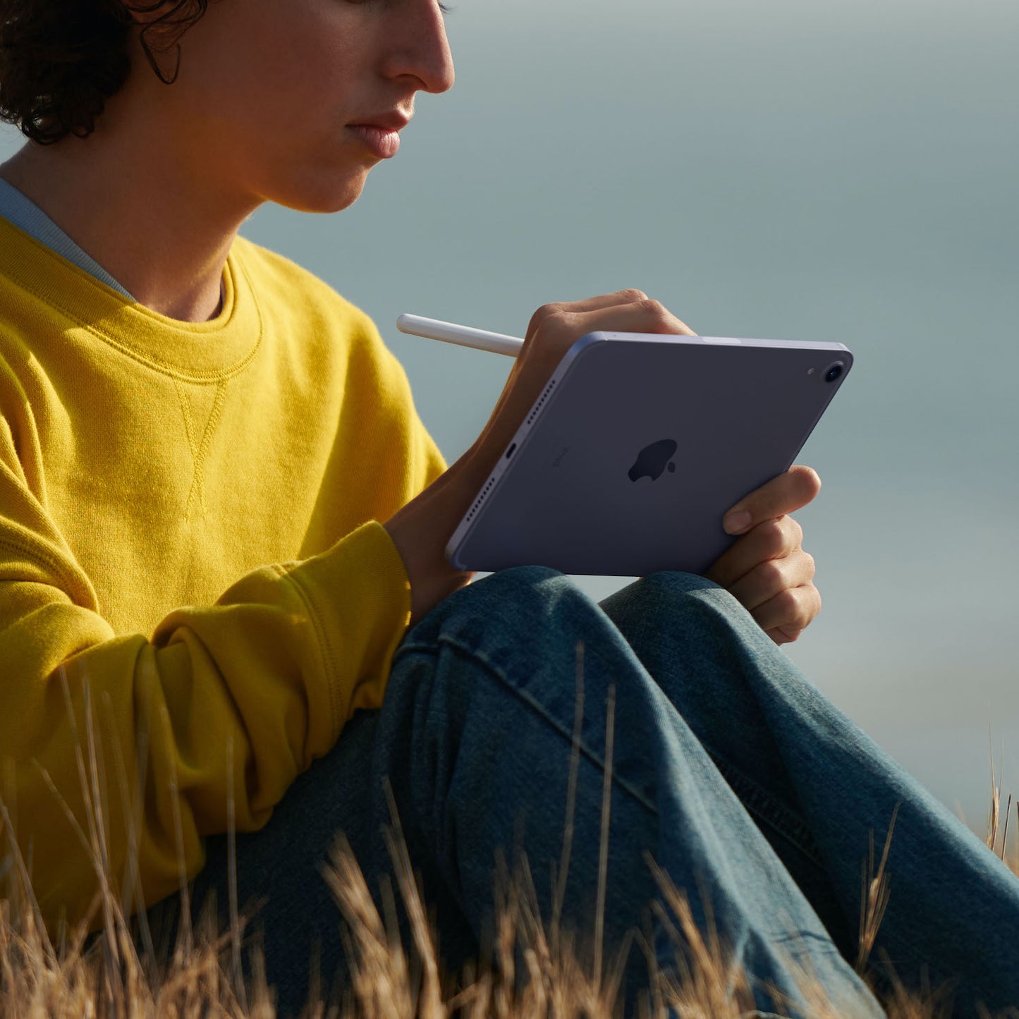 iPad mini Wi-Fi + Cellular 256GB - Stjerneskinn
