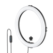 Joby Beamo LED-Ringlys 12"