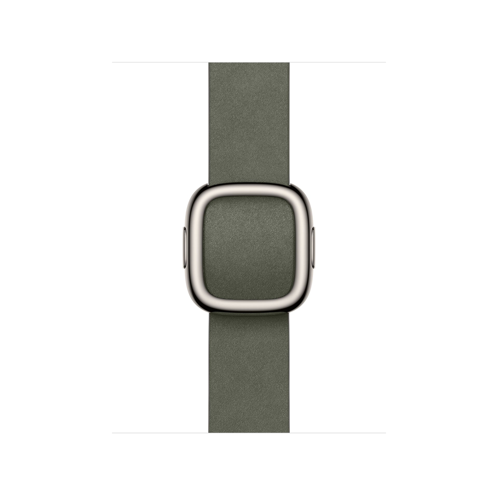 42/41 mm Sage Grey Modern Buckle - Medium