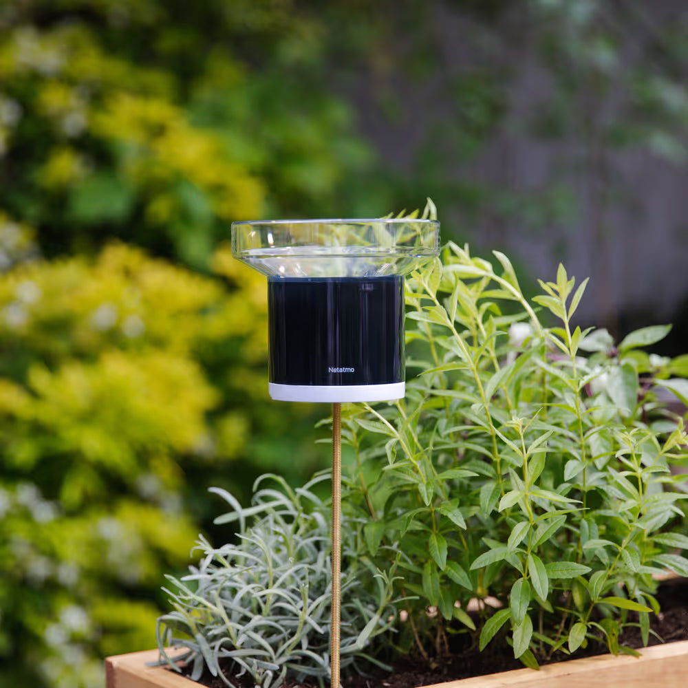 Netatmo Regnmåler