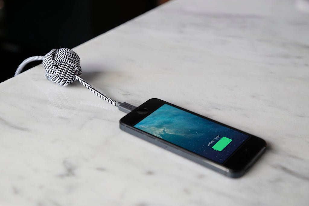 Native Union 3m USB-A til Lightning Night Ladekabel - Zebra